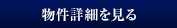 詳細を見る